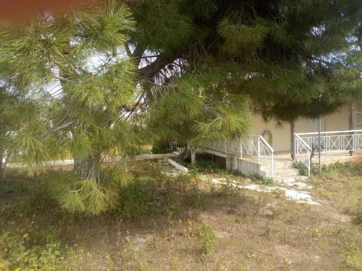 Vangelis House Near Athens Airport Artemida  Exterior foto